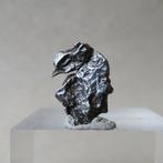 Campo del Cielo meteorite IJzer meteoriet - 92.9 g - (51), Collections, Minéraux & Fossiles