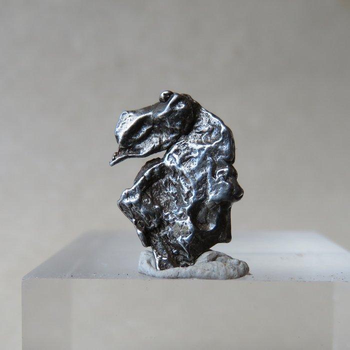 Campo del Cielo meteorite IJzer meteoriet - 92.9 g - (51), Collections, Minéraux & Fossiles