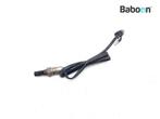 Lambda Sonde Suzuki SFV 650 Gladius (SFV650), Verzenden, Gebruikt