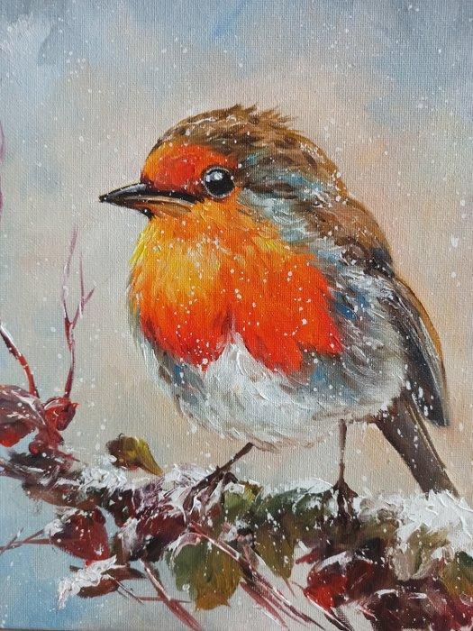 Tomasz Bednarski (1965) - Winter robin, Antiek en Kunst, Kunst | Schilderijen | Klassiek
