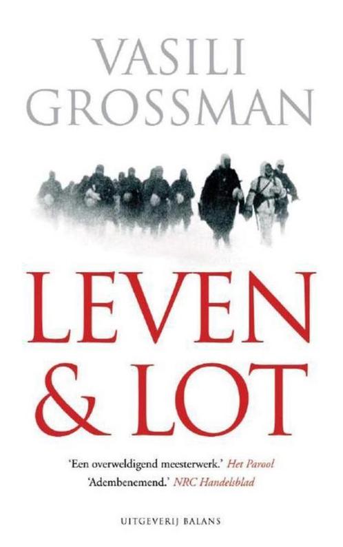 Leven en lot 9789460032783 Vasili Grossman, Boeken, Romans, Gelezen, Verzenden