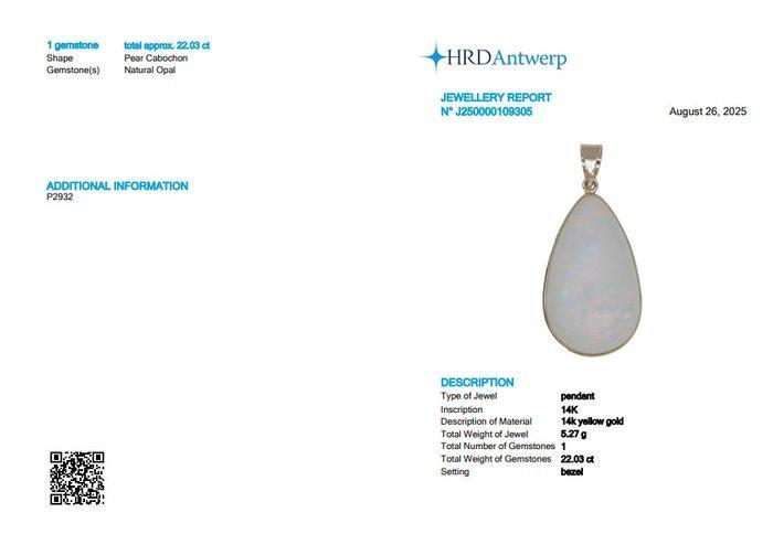 Hanger - 14 karaat Geel goud - 22.03ct. tw. Opaal -, Handtassen en Accessoires, Antieke sieraden
