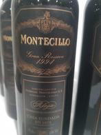 1994 Bodegas Montecillo - Rioja Gran Reserva - 6 Flessen, Nieuw
