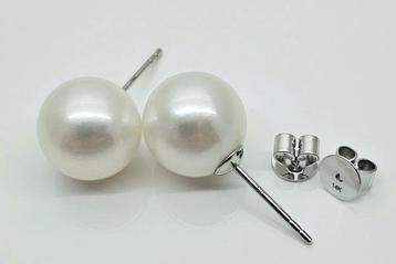 Boucles doreilles cloutées - 14 carats Or blanc Perle -