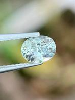 Zonder Minimumprijs - 1 pcs Blauw, Groen Saffier - 1.12 ct -, Nieuw