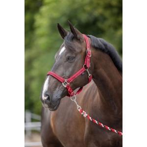 Halster mustang, maat 3 - 2voud. verstelb., rood/zwart -, Animaux & Accessoires, Chevaux & Poneys | Autres trucs de cheval