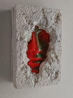 Salvatore Alibrio - Packaging