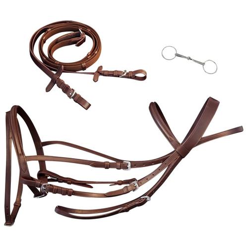 vidaXL Hoofdstel leer met gecombineerde neusriem, teugels en, Dieren en Toebehoren, Paarden en Pony's | Overige Paardenspullen