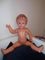 Schildkröt - Pop Schildkröt pop Nr 64 - 1950-1960 -