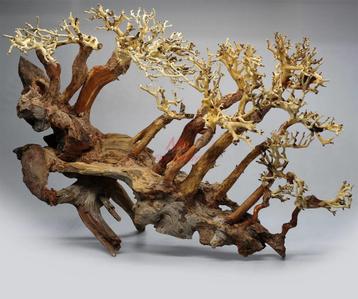 Bonsai Medium beschikbaar voor biedingen