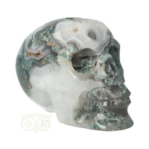 Mosagaat schedel Nr 267 - 1050 gram, Handtassen en Accessoires, Edelstenen, Nieuw, Verzenden