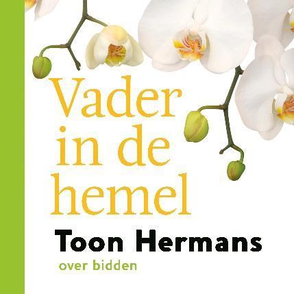 Vader in de hemel 9789026134258 Toon Hermans, Boeken, Stripverhalen, Gelezen, Verzenden