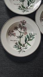 Villeroy & Boch - Bord (6) - Botanica - Vitro-Porzellan -, Antiek en Kunst