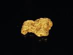 Zeldzame gouden pepita - Lapponia/Finlandia Goud nugget-
