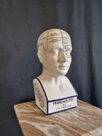 Beeld, Phrenology Head 28.5cm - 28.5 cm - Porselein