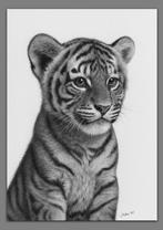 Schu - Tiger cub, Antiek en Kunst