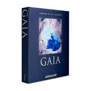 Gaia Special Edition, Livres, Langue | Langues Autre, Envoi