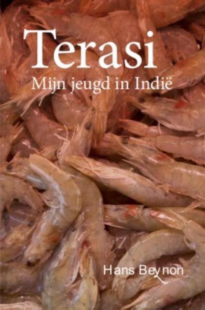 Terasi 9789460224416 Hans Beynon, Boeken, Literatuur, Zo goed als nieuw, Verzenden