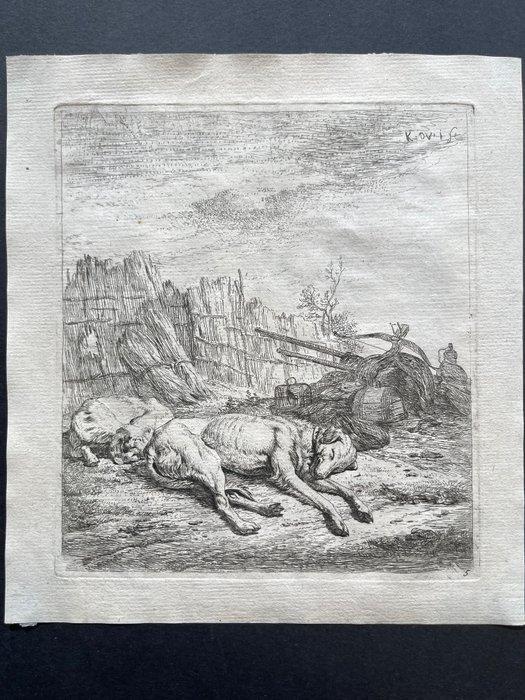 Karel Dujardin (1622-1678) - Due cani che dormono per terra, Antiek en Kunst, Antiek | Overige Antiek