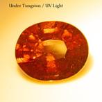 1 pcs Geel, Oranje, Rood, Roze Granaat, Spessartiet - 2.67, Nieuw