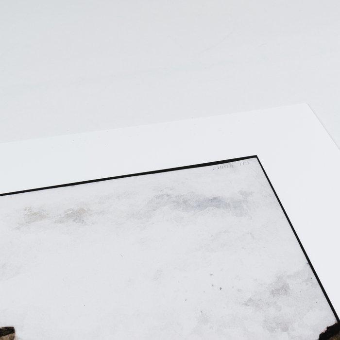 Thomas Ruff (1958) - Tripe_12 (Seeringham. Munduppum inside, Antiek en Kunst, Kunst | Designobjecten