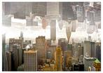 Roberto Cavalli (1971) - Upside Town, In New York City /