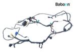 Kabelboom Suzuki GSF 1200 Bandit 1996-2000 (GSF1200), Motoren, Verzenden, Gebruikt