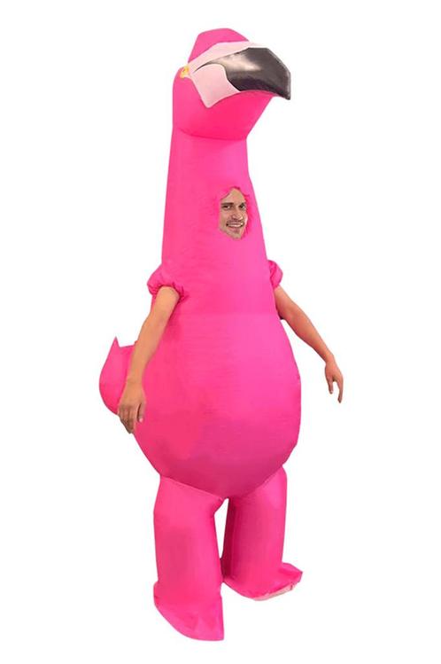 KIMU® Opblaas Kostuum Flamingo Opblaasbaar Pak Vogelpak Masc, Kleding | Heren, Carnavalskleding en Feestkleding, Nieuw, Ophalen of Verzenden