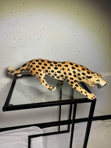 Statue, De Majesteit van Italië: Zeldzame keramieken panther
