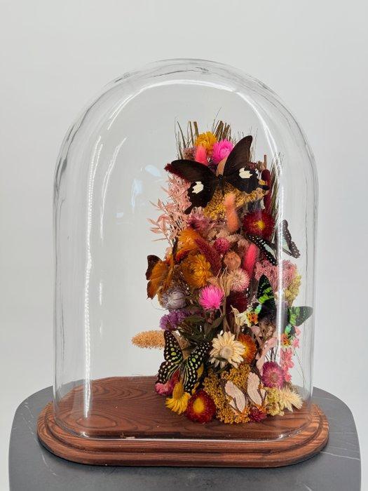 Mix van vlinders Taxidermie volledige montage - Graphium, Verzamelen, Dierenverzamelingen