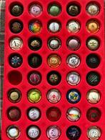 Champagne capsules (40) - Metaal - Diverse Champagne huizen, Antiek en Kunst