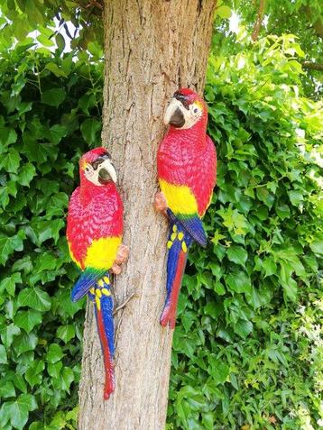 Figurine - A pair of red parrots (2) - Fer
