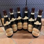 2019 Tommasi - Amarone della Valpolicella DOCG - 6 Fles, Collections, Vins