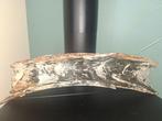 Wolharige mammoet - Gefossiliseerde slagtand - 57 cm - 19 cm, Verzamelen, Mineralen en Fossielen
