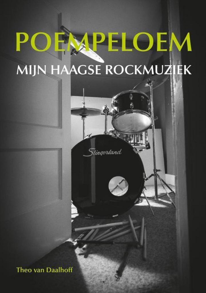 Poempeloem 9789460100789 Theo van Daalhoff, Boeken, Geschiedenis | Stad en Regio, Gelezen, Verzenden