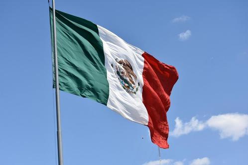 ECCELLENTE Koffiebonen Single Origin Mexico – 1000 gram, Electroménager, Cafetières, Envoi
