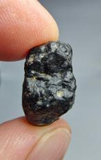 Meteorite. CVoxA3. Carbonaceous (NWA 17324). - 4.54 g - (1)