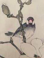 Magnolia et moineau , 1891 - Imao Keinen - Japan - Meiji