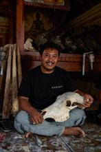 Crâne de vache époustouflant avec incrustation de mosaïque, Antiquités & Art