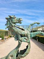 Sculpture, Steigerend paard - 65 cm - Bronze