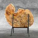 Wonderlijk sneetje versteend hout op een op maat gemaakte