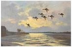 Wilfrid Bailey Fl (1948-1954) - The flight of mallards over