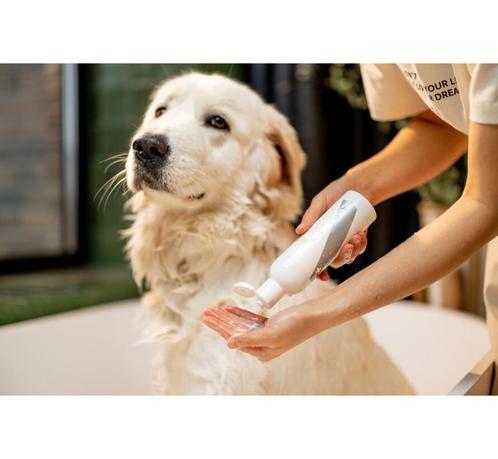 Dog Dry Shampoo, Dieren en Toebehoren, Overige Dieren-accessoires, Ophalen of Verzenden