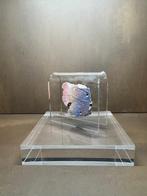 Relikwie - Beton - 1960-1970 - Mur de Berlin