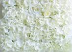 Flowerwall flower wall 40*60cm. 3d wit kant en klaar! witte