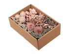 Droogbloemenmix doos pearl pink droogbloemstuk of krans zelf, Nieuw