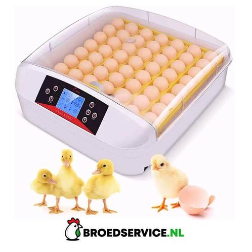 ACTIE: HHD GIGA/MED Automatische broedmachines + GRATIS eier, Dieren en Toebehoren, Pluimvee | Toebehoren, Broedmachine, Nieuw