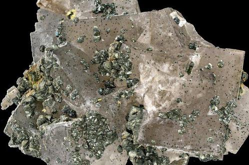 Zeldzame oude witte kubieke fluoriet met gekristalliseerde, Verzamelen, Mineralen en Fossielen