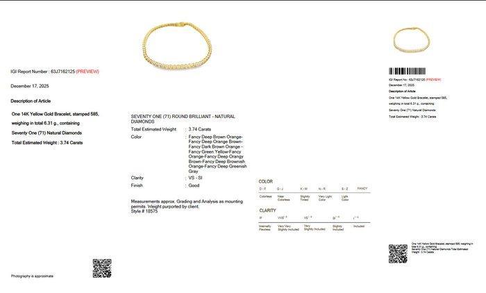 Zonder minimumprijs - Armband - 14 karaat Geel goud -, Handtassen en Accessoires, Armbanden