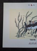 Tintin - 1 Lithographie Tintin - Le Trésor de Rackham le